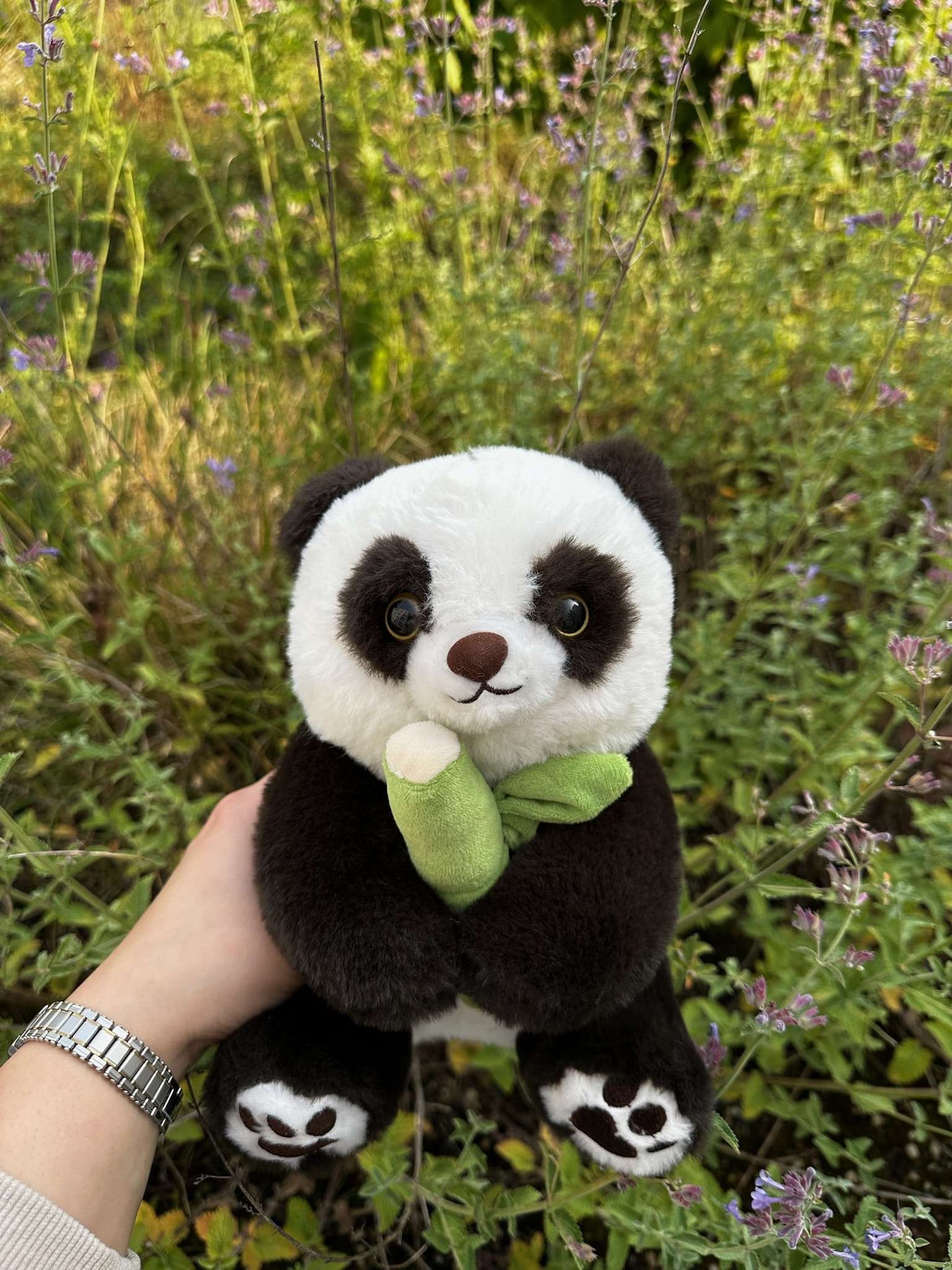 Balu der Panda 🎋