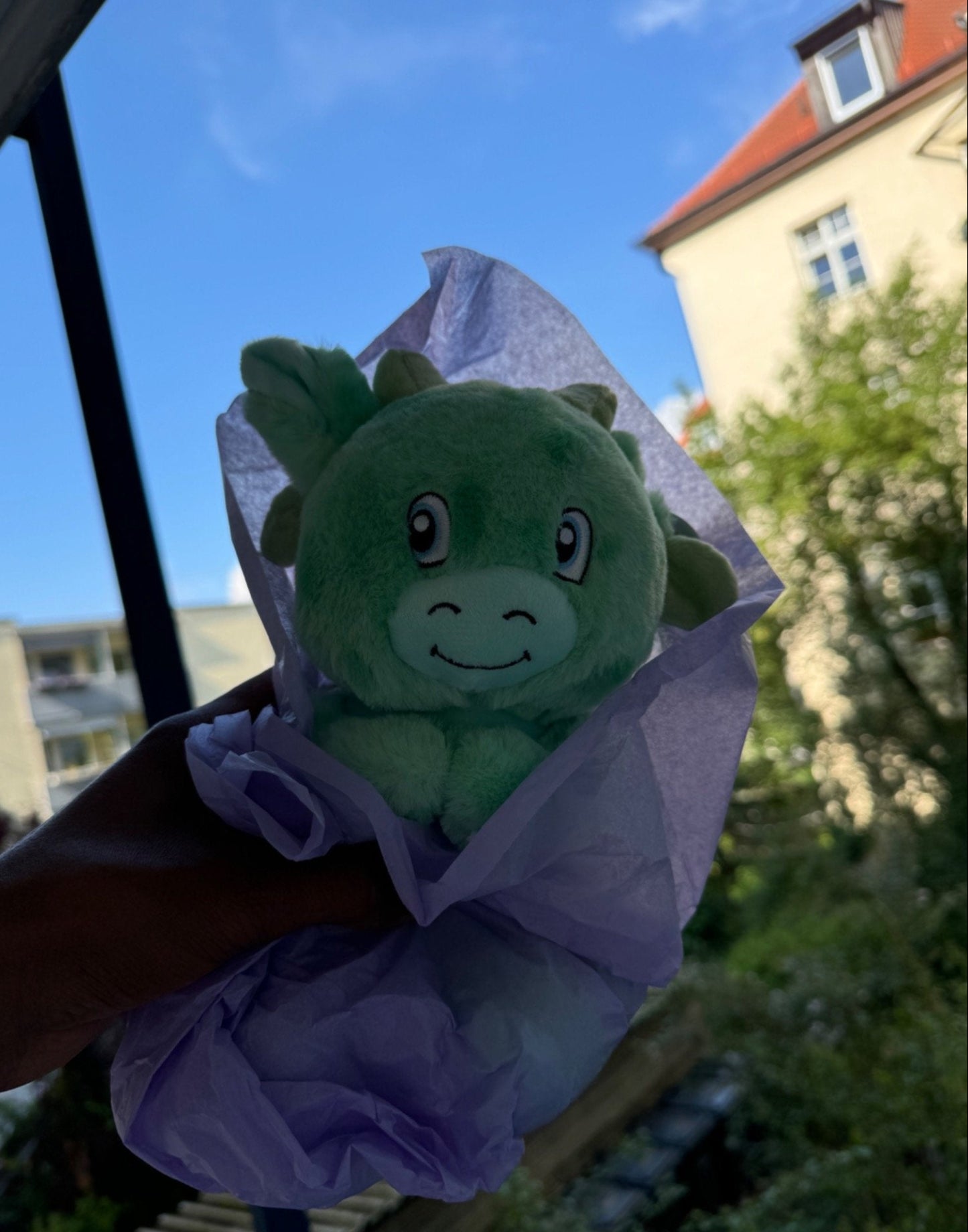Drachi der Mutmacher 🐉