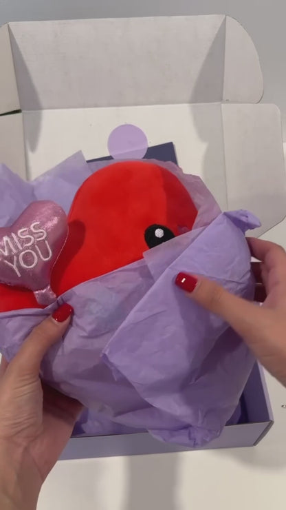 Hearti das Herzkissen 🥰